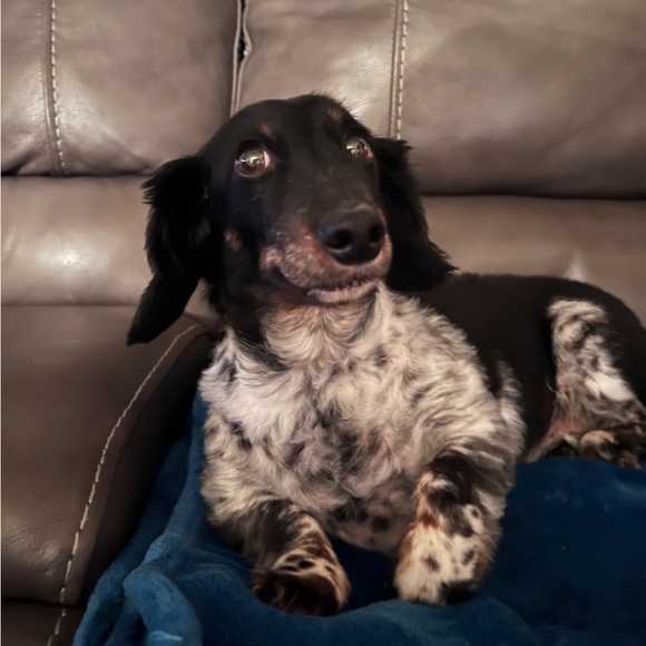 Meet your Posher, Kristen - Picture 5 of 16